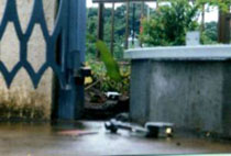 0041.jpg(27103 byte)