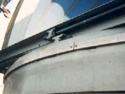 do-mu_7.jpg(5403 byte)